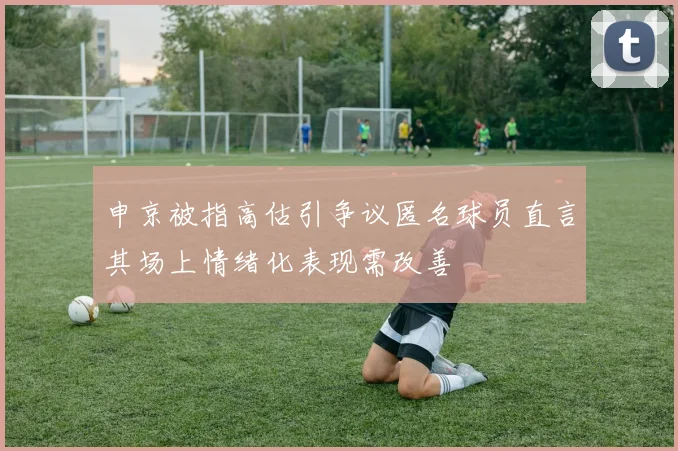 申京被指高估引争议匿名球员直言其场上情绪化表现需改善
