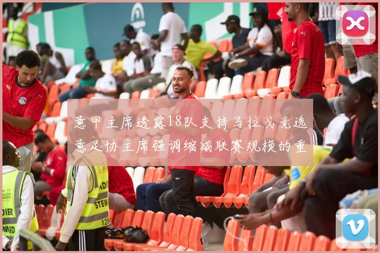 意甲主席透露18队支持马拉戈竞选意足协主席强调缩减联赛规模的重要性